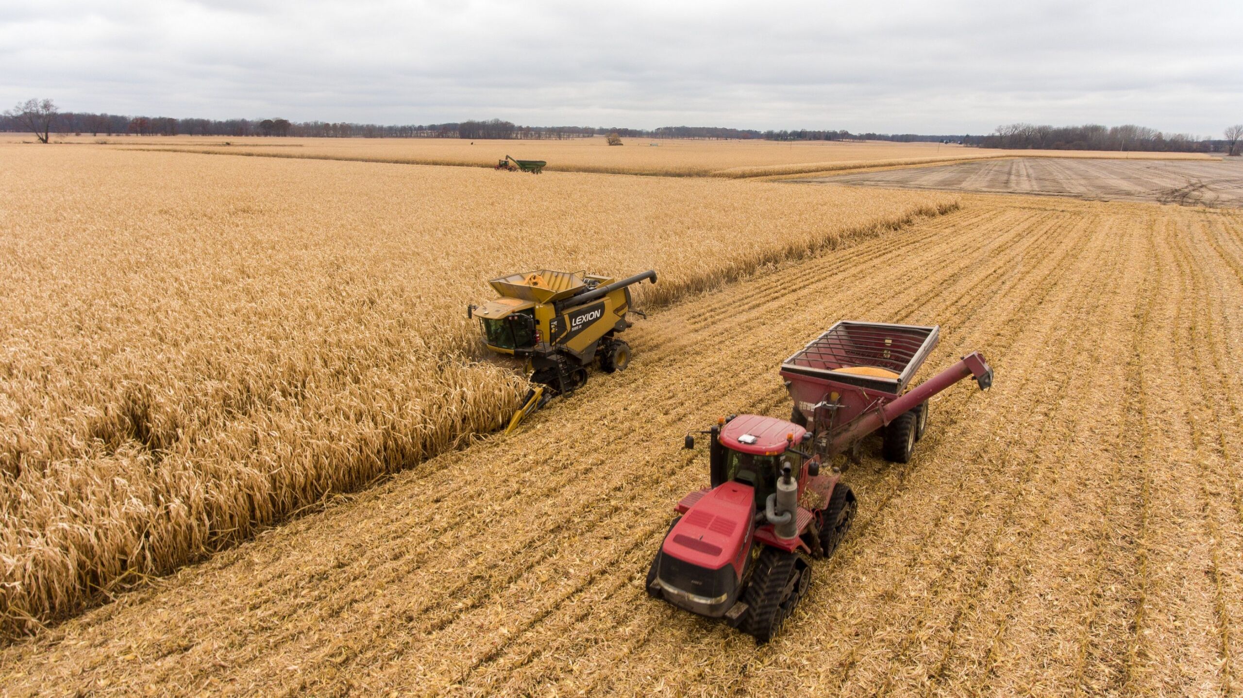 Corn harvest in southwestern Michigan.
